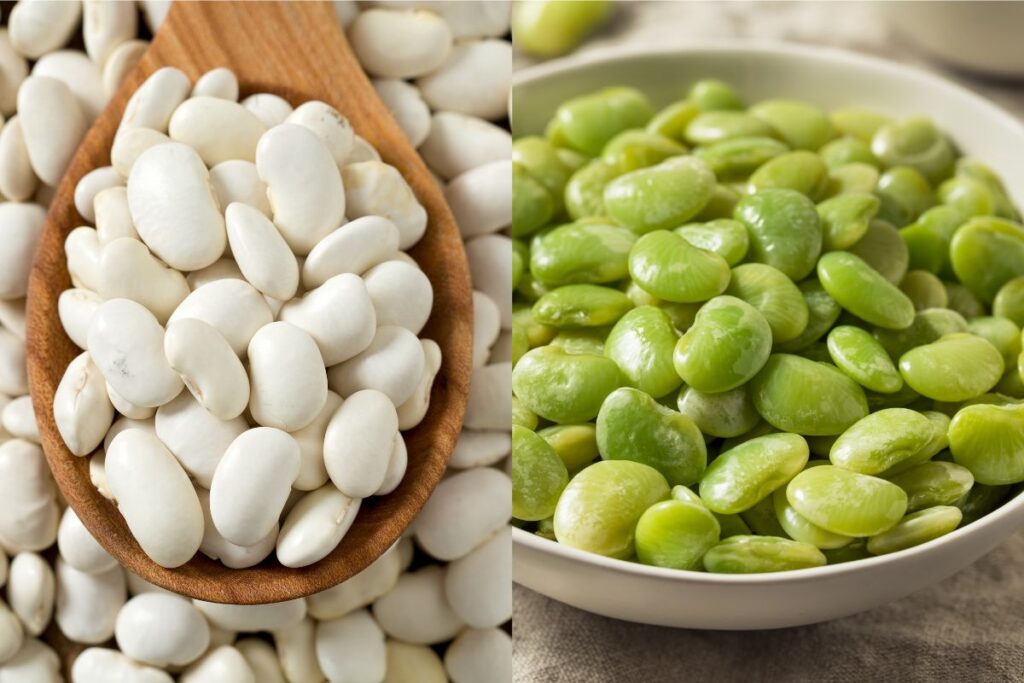 Are butter beans and lima beans the same ?